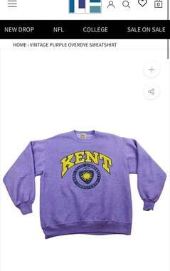 Vintage Kent State University Champion Reverse Weave Crewneck Sweatshirt